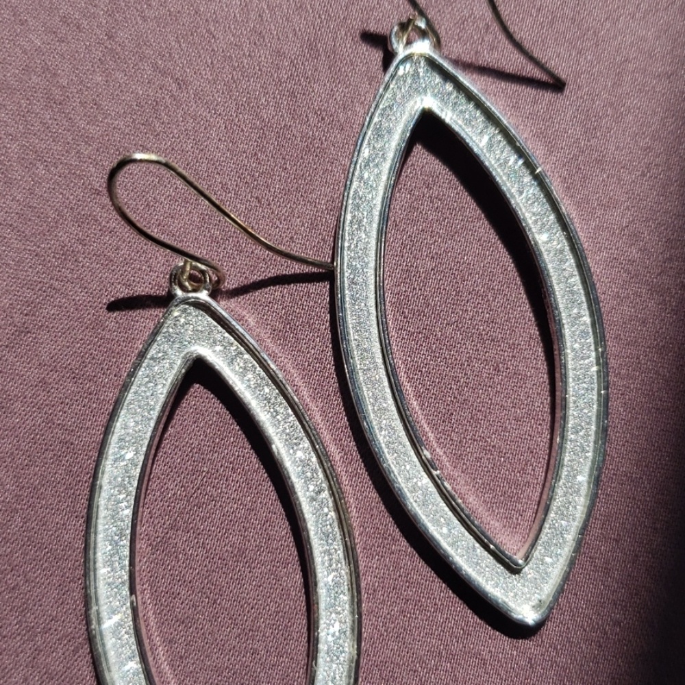 Charming Charlie Silver Glitter Earrings
